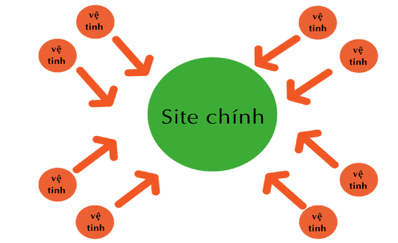 Website vệ tinh đóng góp gì cho SEO?